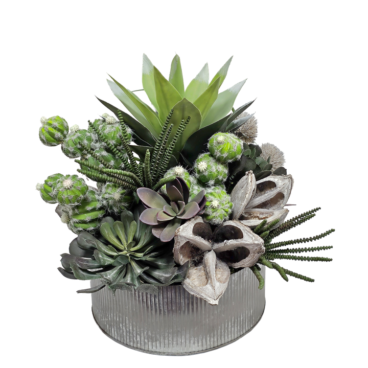 Barrel Cactus, Sora Pods, Tillandsia and Aeonium in Ribbed Metal Bowl 15"H