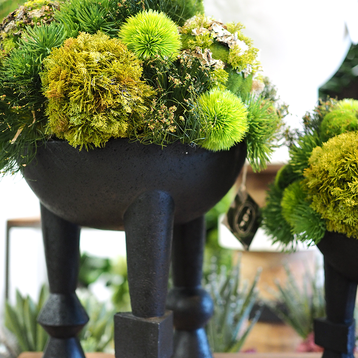 Mixed Greenery Spheres and Cyperus Grass in Black Geometric Bowl on Legs  20"H