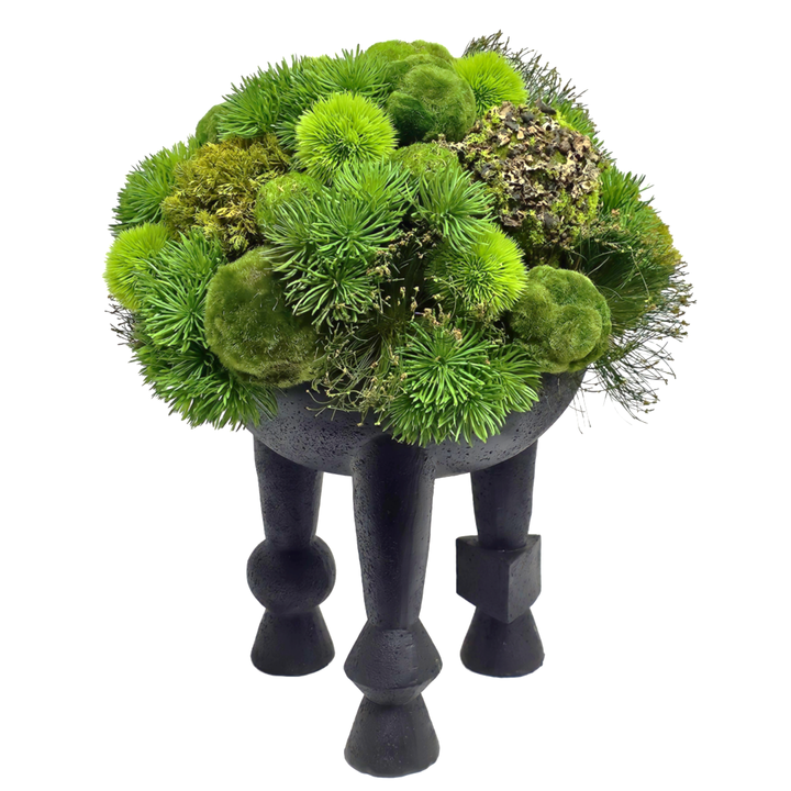 Mixed Greenery Spheres and Cyperus Grass in Black Geometric Bowl on Legs  20"H