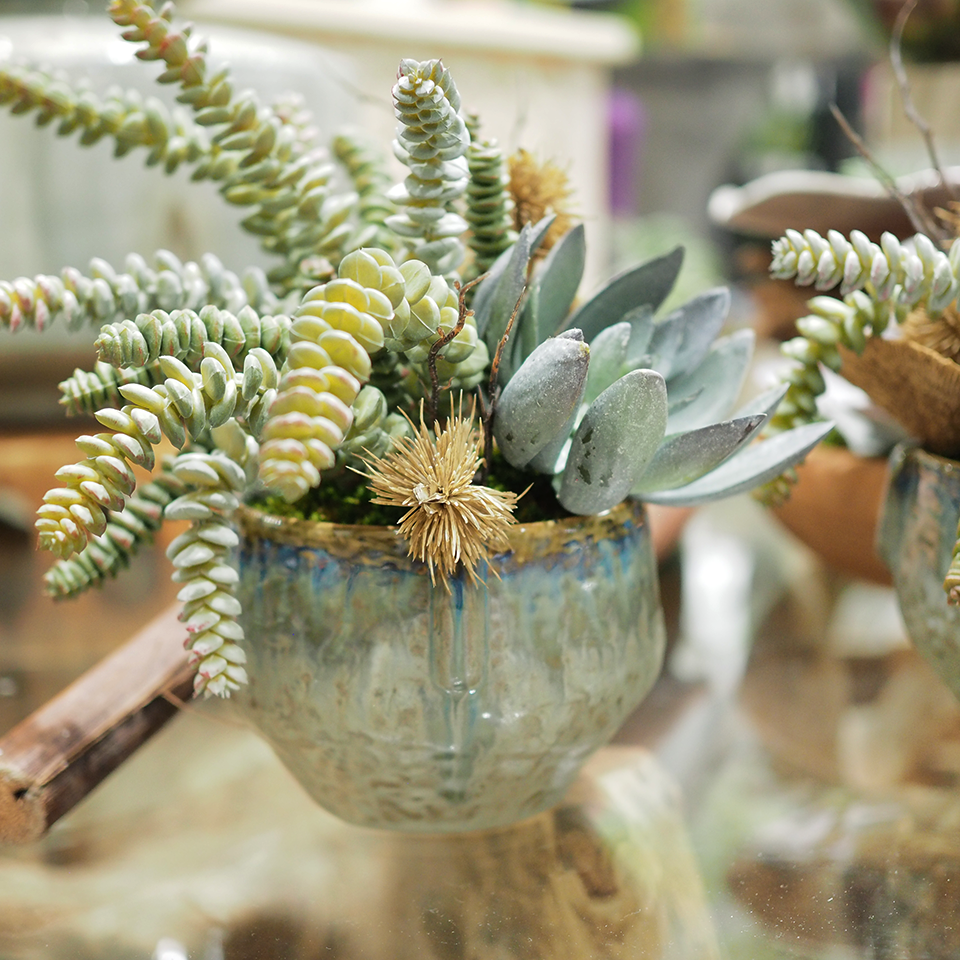 Burro's Tail with Succulent, Thistle and Sponge Mushroom in Glaze Clay Pinch Pot 9.5"H