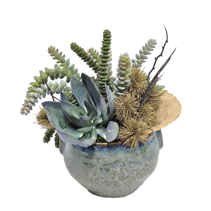 Burro's Tail with Succulent, Thistle and Sponge Mushroom in Glaze Clay Pinch Pot 9.5"H