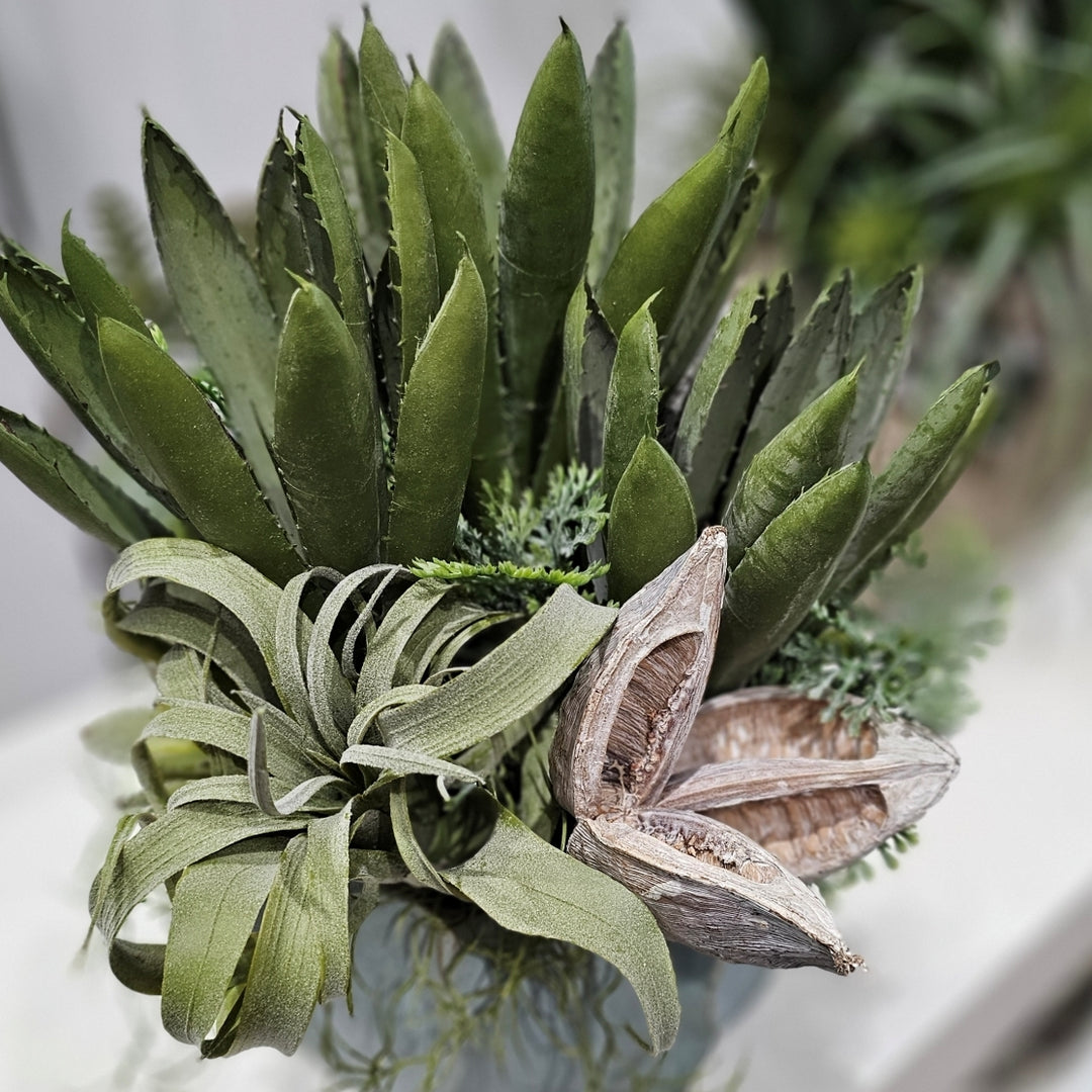 Agave, Cypress Bush, Tillandsia and Sora Pod in Ceramic Container 15"H