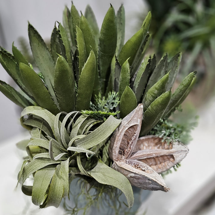 Agave, Cypress Bush, Tillandsia and Sora Pod in Ceramic Container 15"H