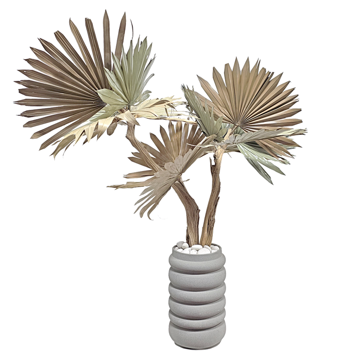 Multi-color Dried Fan Palms on Ghostwood in Grey Layered Ceramic Vase 54"H