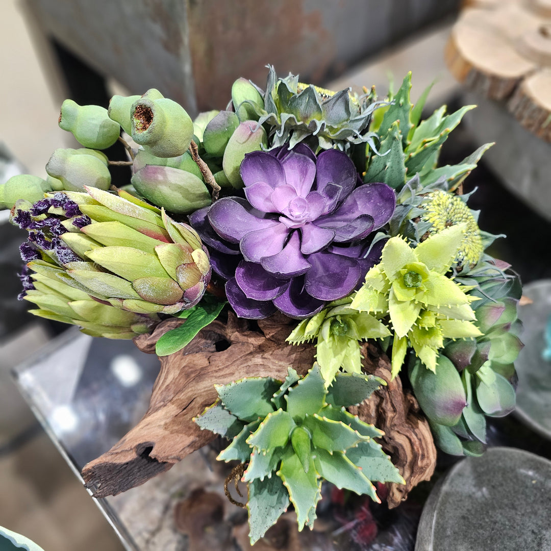 Mink Protea, Succulents with Wood Fragment in Ribbed Metal Bowl.  14"H