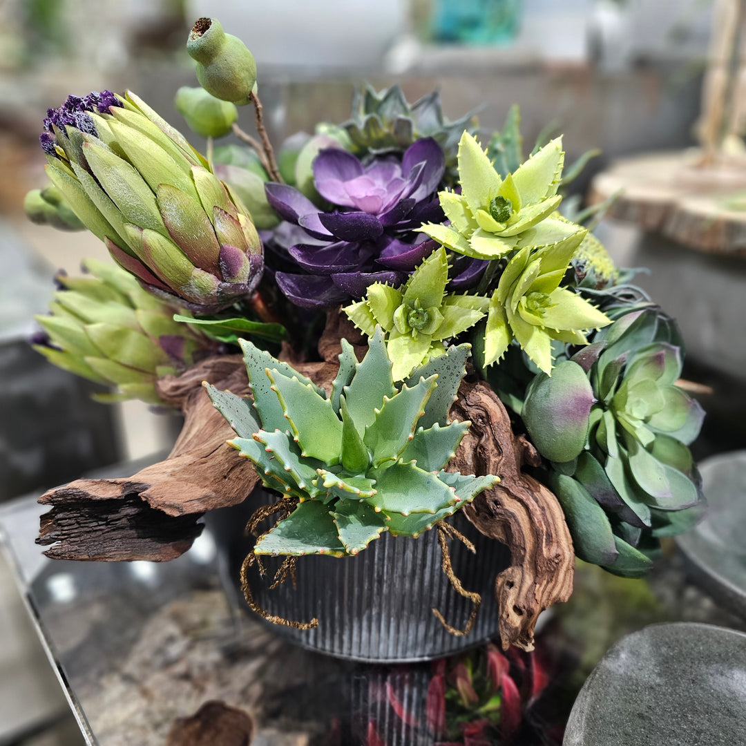 Mink Protea, Succulents with Wood Fragment in Ribbed Metal Bowl.  14"H