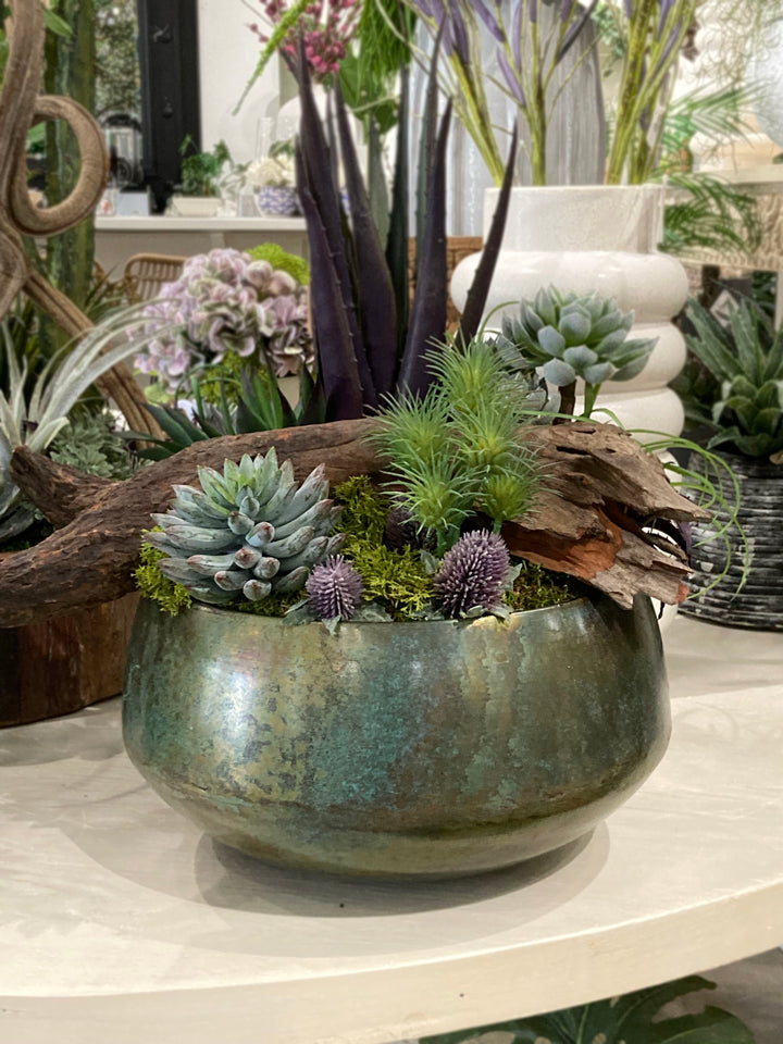 Agave and Succulents with Wood Fragment in a Bowl FH: 19"