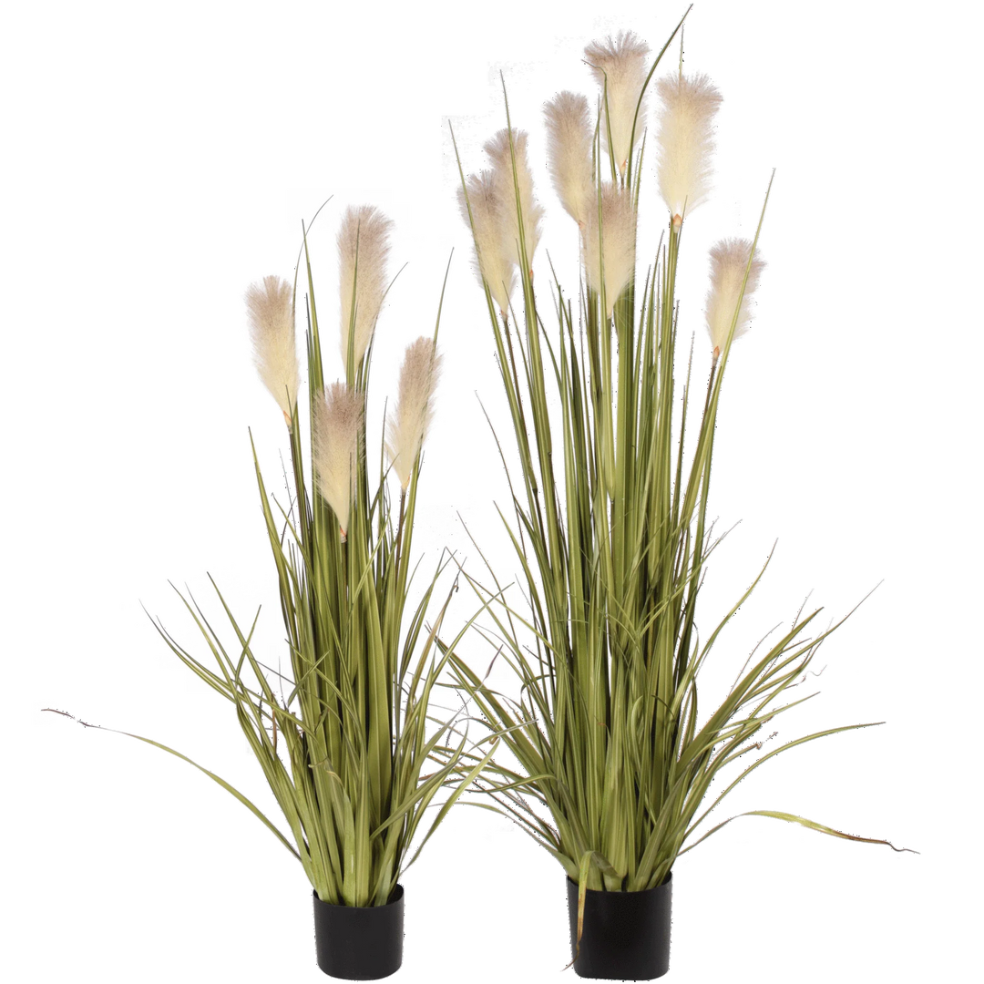 Premade Reed Grass with Flowers in a Growers Pot FH: 48"