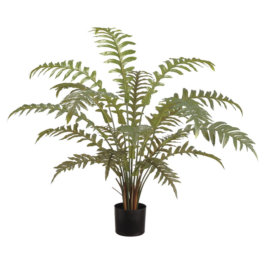 Fern in Grow Pot 36"H