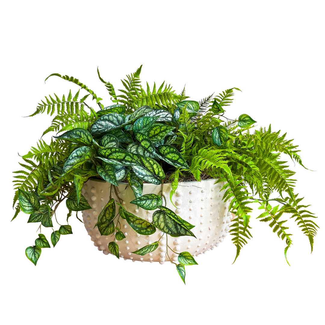 Boston Fern and Peperomia Leaves in Bowl