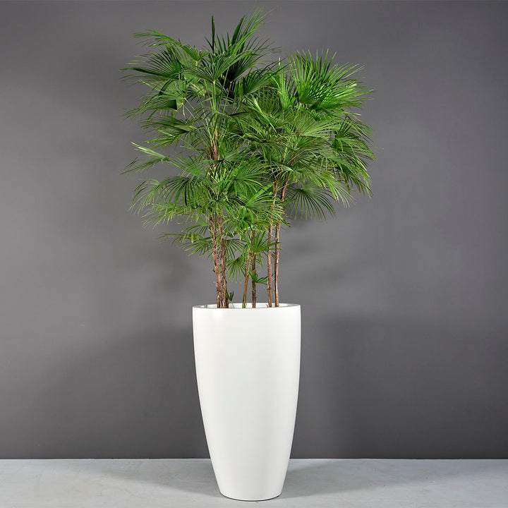 Tall Round Container for Indoor and Outdoor Use