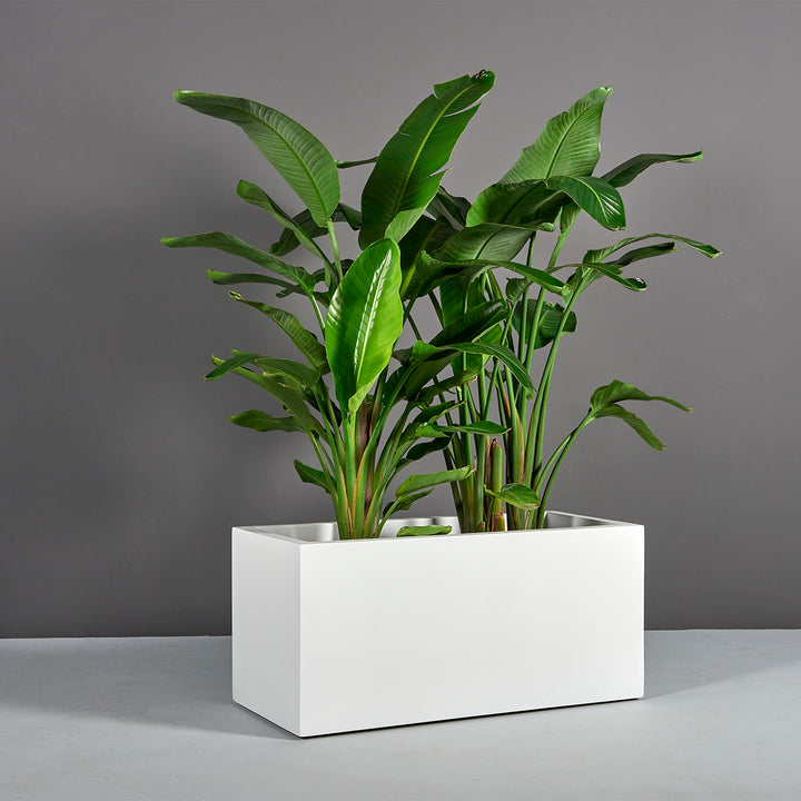 Rectangular Planter for Indoor and Outdoor Use