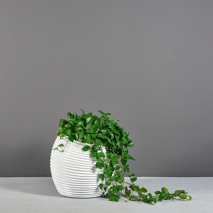 Spiral Globe Planter for Indoor and Outdoor Use