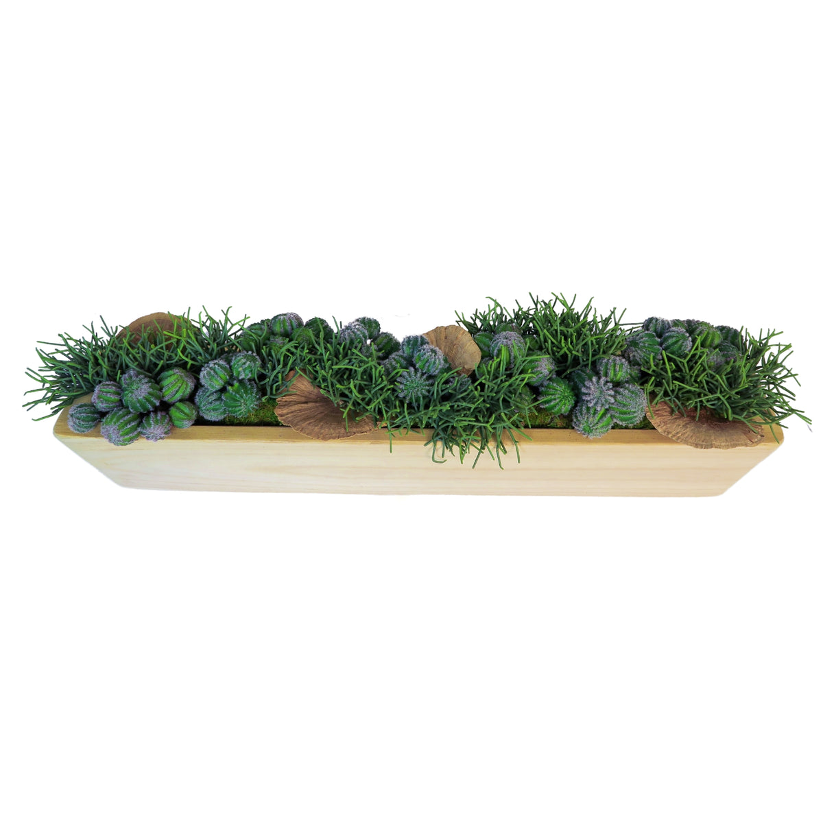 Mixed Cactus and Shelf Mushrooms in Natural Wood Rectangular Container