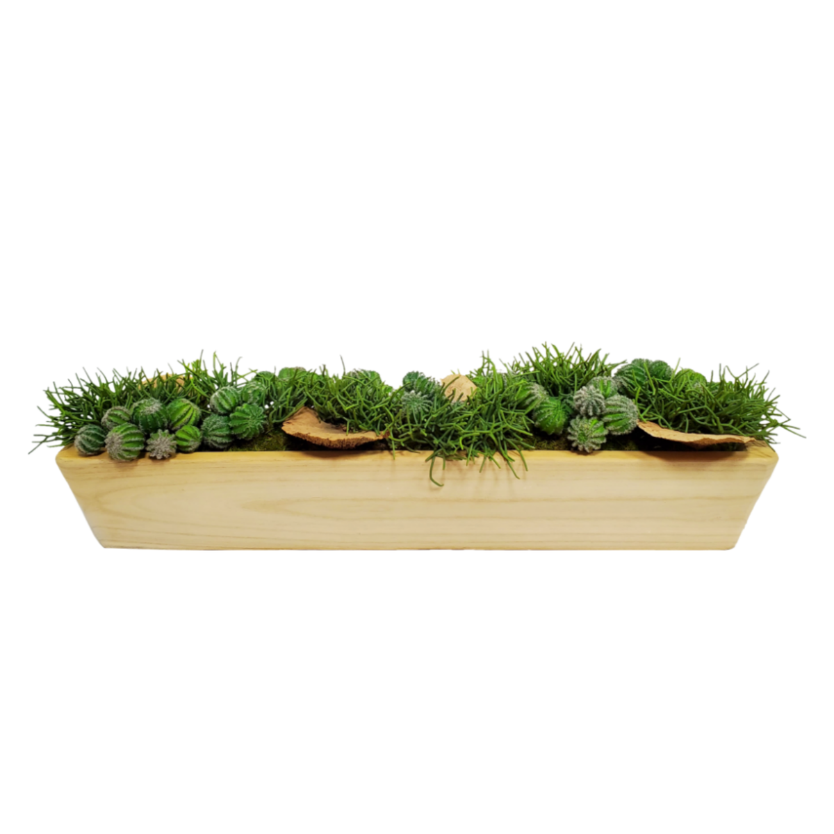 Mixed Cactus and Shelf Mushrooms in Natural Wood Rectangular Container