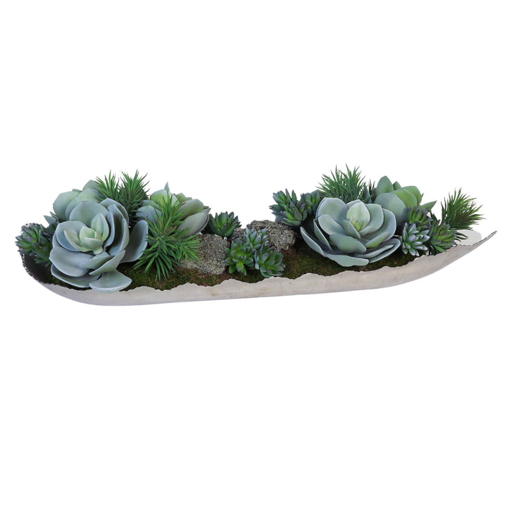 Large Pyrite Crystals, Succulents and Senecio in Tray