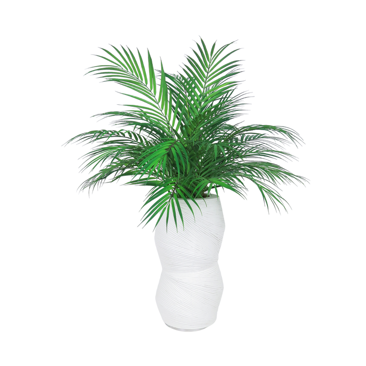 Areca Palm in Ceramic