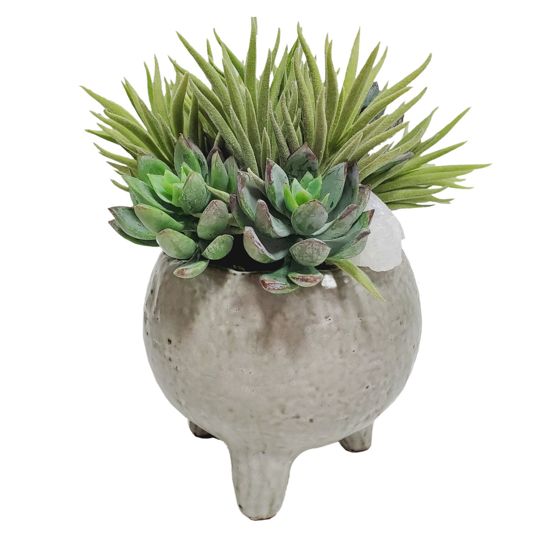 Succulents with Crystals in Ceramic