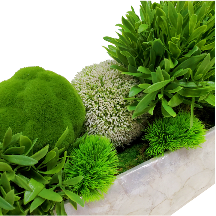 Mixed Spheres with Moss in Container