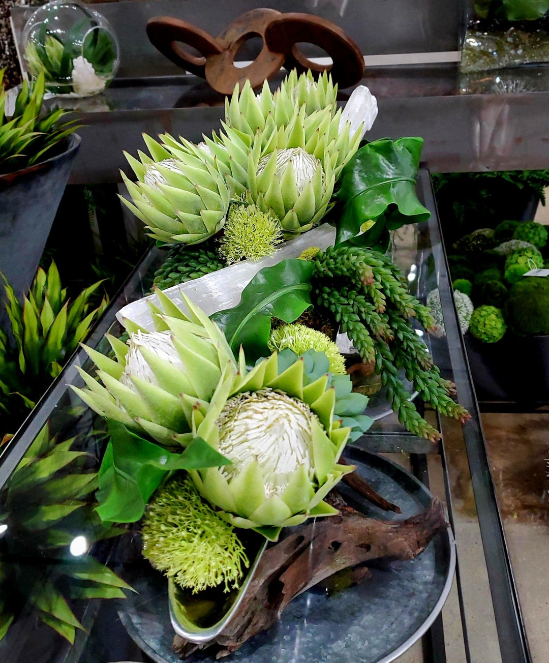 Queen Protea, Succulents and Tropical Leaves with Selenite Sticks in Container