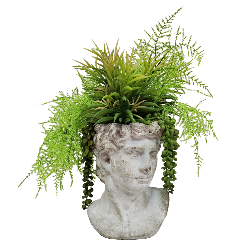 Mixed Ferns & Succulents in Concrete Head 17