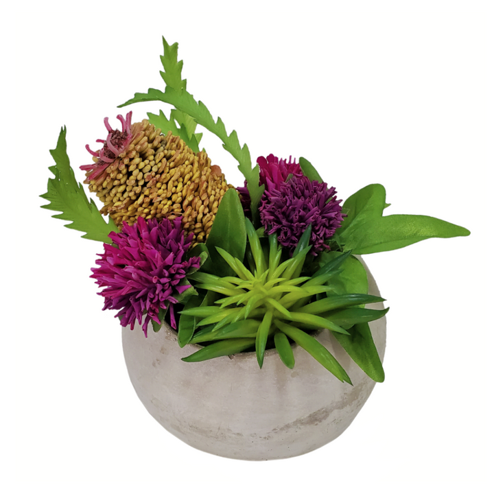 Banksia with Clover and Succulent in Container 8"H