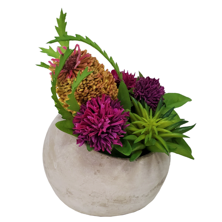 Banksia with Clover and Succulent in Container 8"H