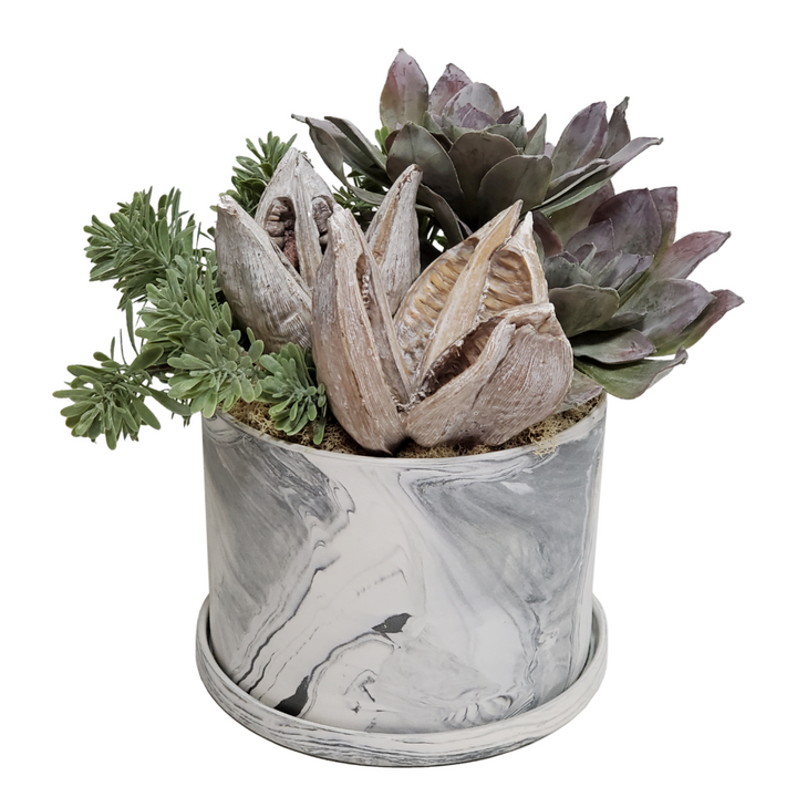 Succulent with Sedum and Dried Sora Pods in Ceramic 13"H