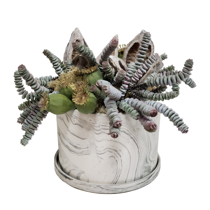 Burro Tail with Pods and Sora Pods in Ceramic 10"H