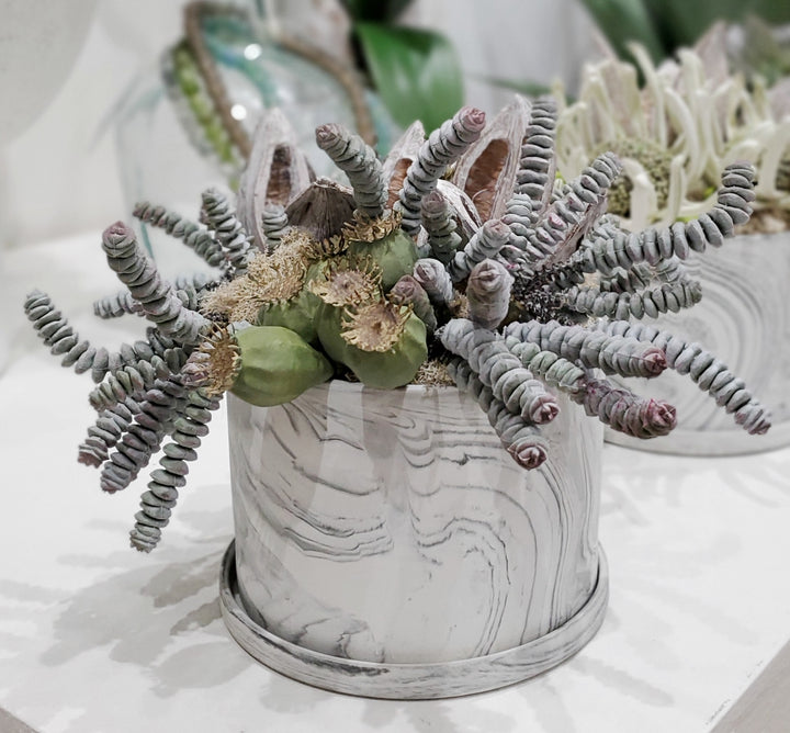 Burro Tail with Pods and Sora Pods in Ceramic 10"H