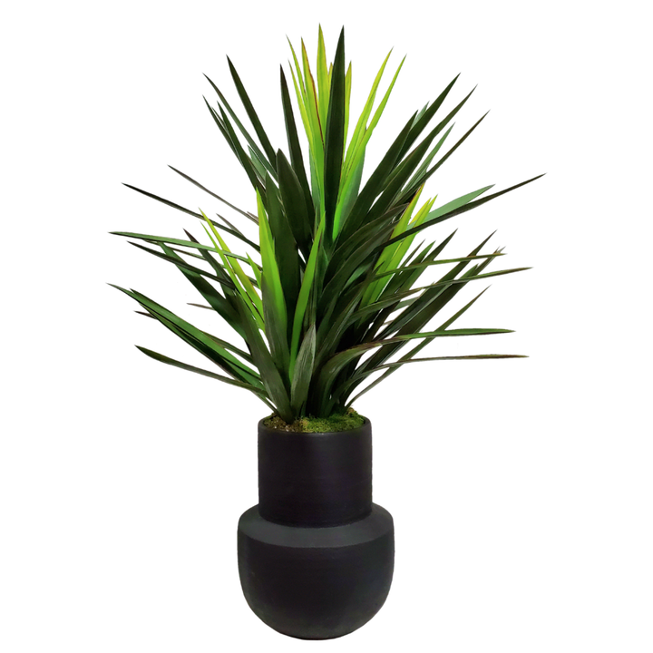 Brazil Yucca in Ceramic 43"H