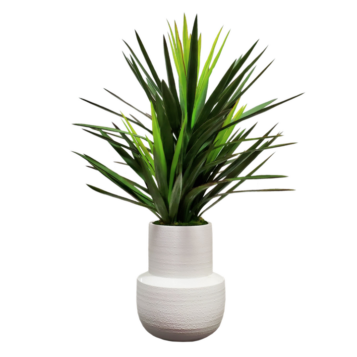 Brazil Yucca in Ceramic 43"H