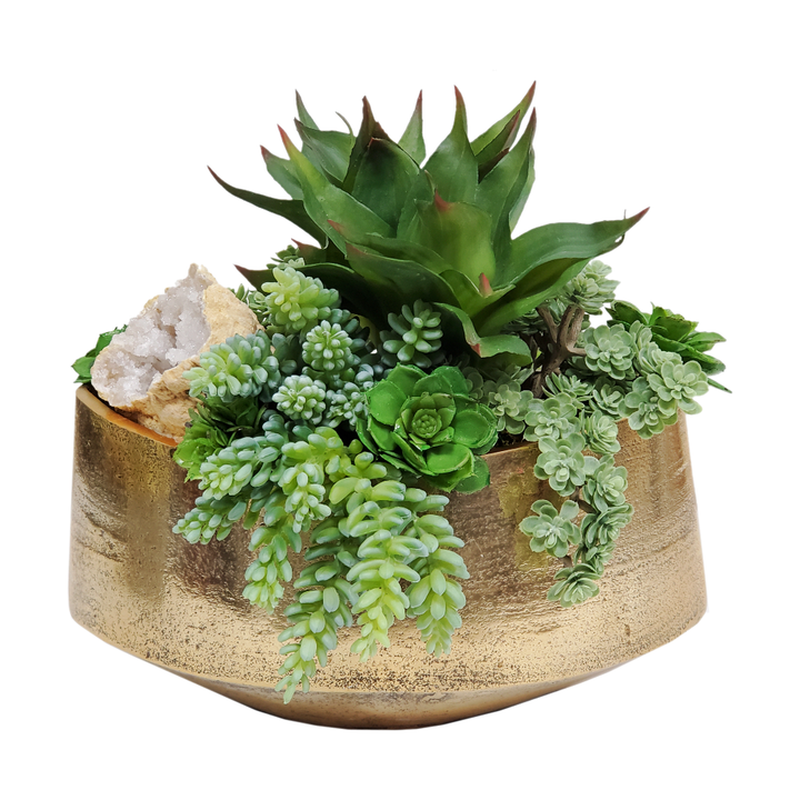 Agave, Geode and Mixed Succulents in Container 11"H