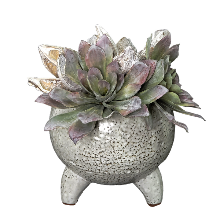 Succulent with Sora Pod and Belgum Pods in Glazed Ceramic 11"H