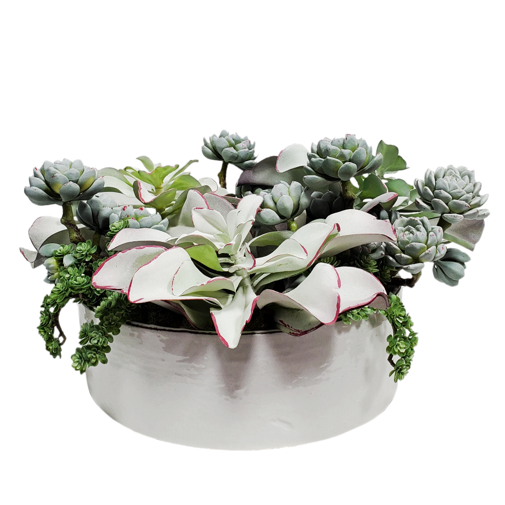 Succulents with Sedum in Ceramic 12"H