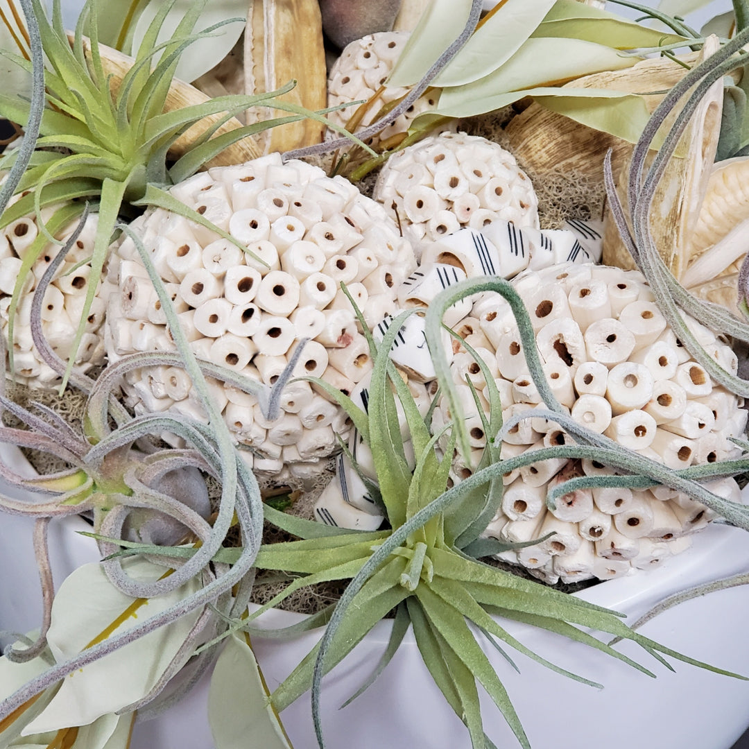 Tillandsia, Natural Cream Spheres, Sage Leaves and Sora Pods in Ceramic 16"H