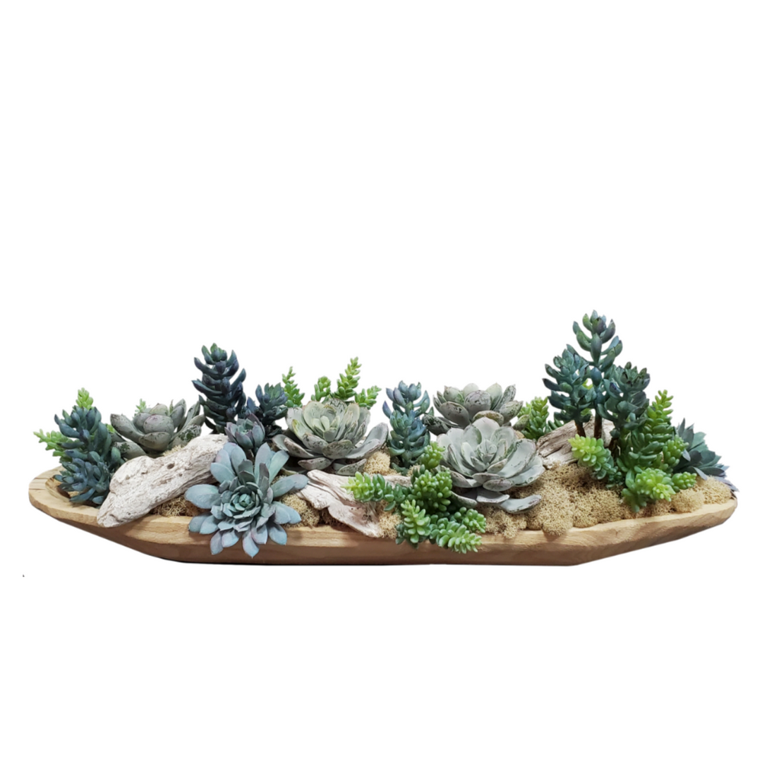 Succulents with Driftwood and Natural Reindeer Moss in Container 9"H