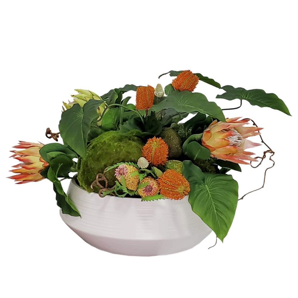 King Protea, Banksia, Druid Fruit, Moss Spheres and Anthurium Leaves in Ceramic 20"H