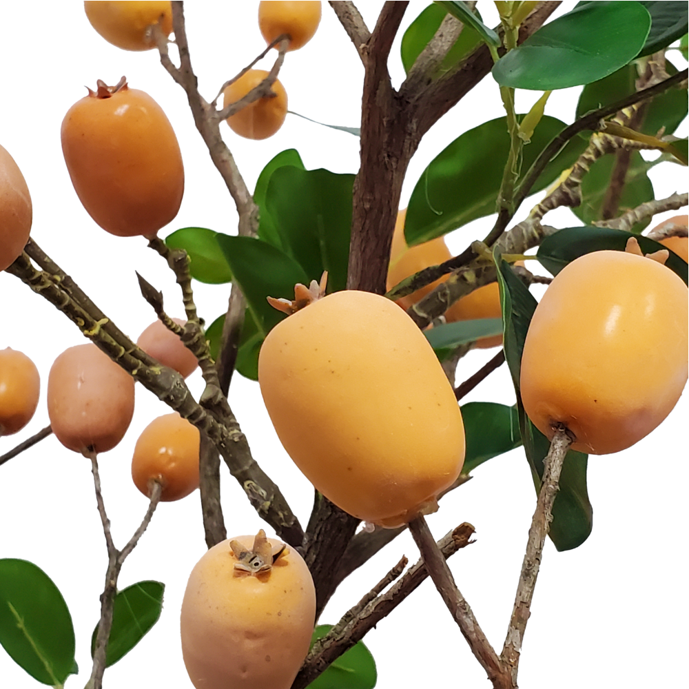 Loquats on Natural Branches in Vase 46"H