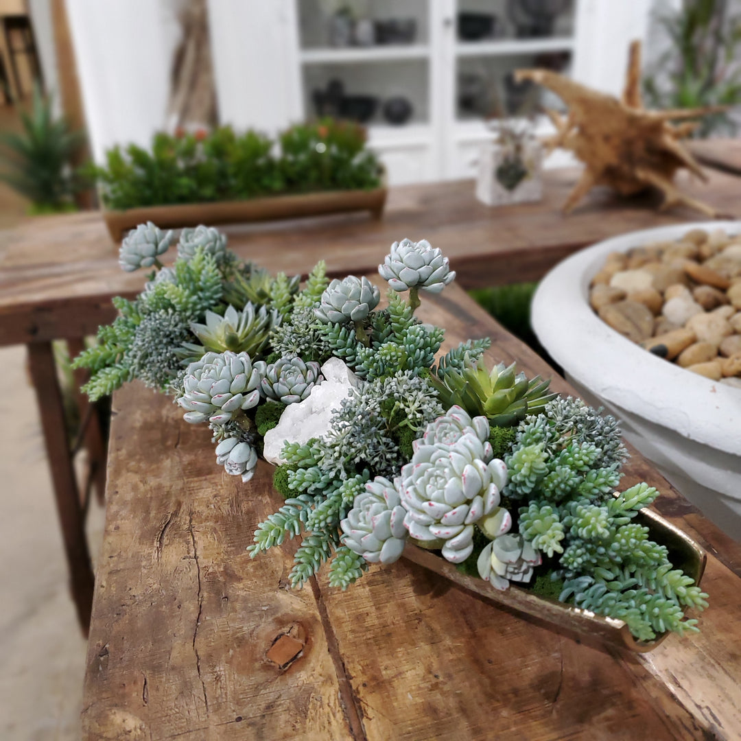 Mixed Succulents, Donkey Tails and Sedum with Natural Crystal in Tray 9"H