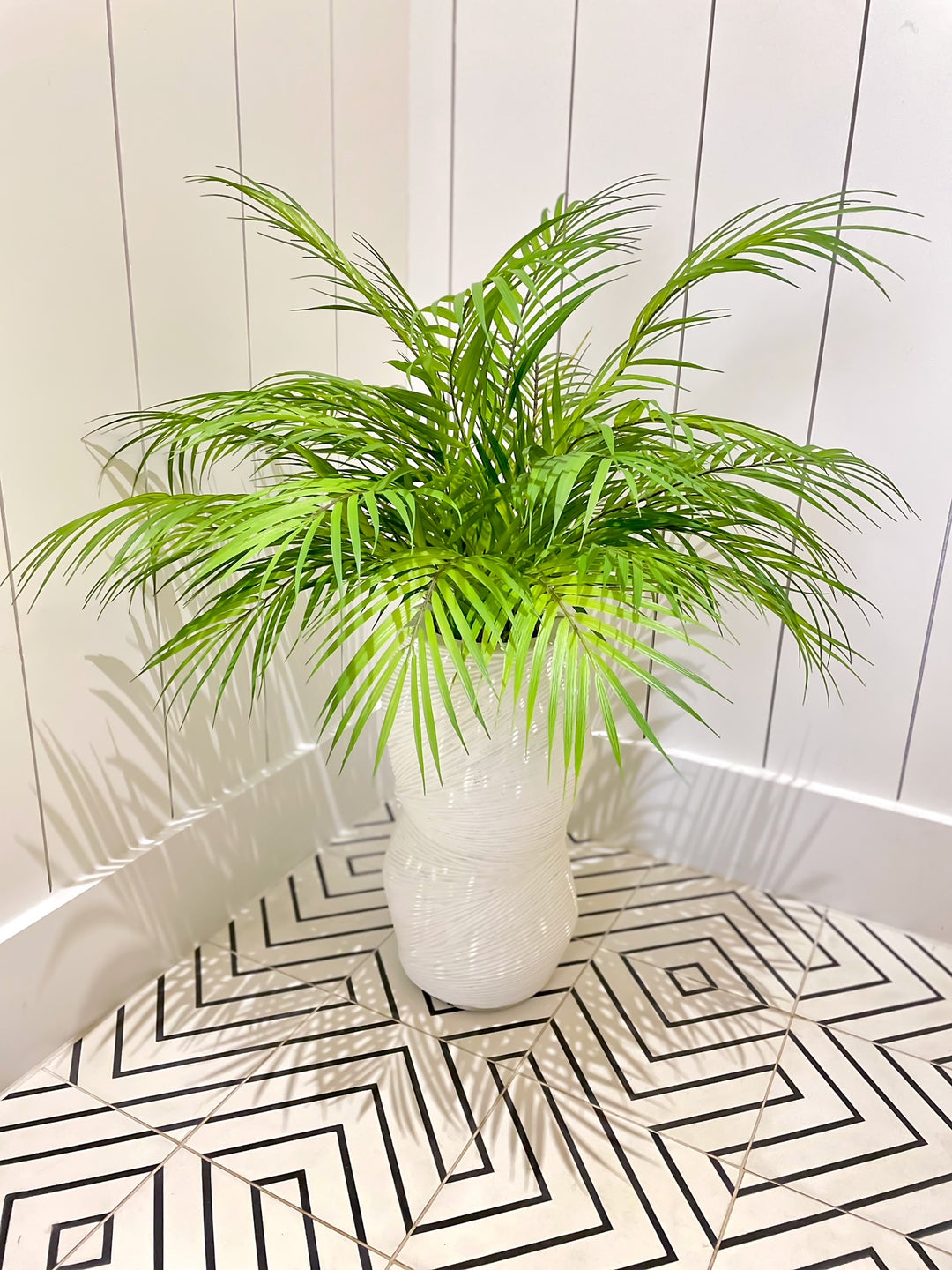 Areca Palm in Ceramic