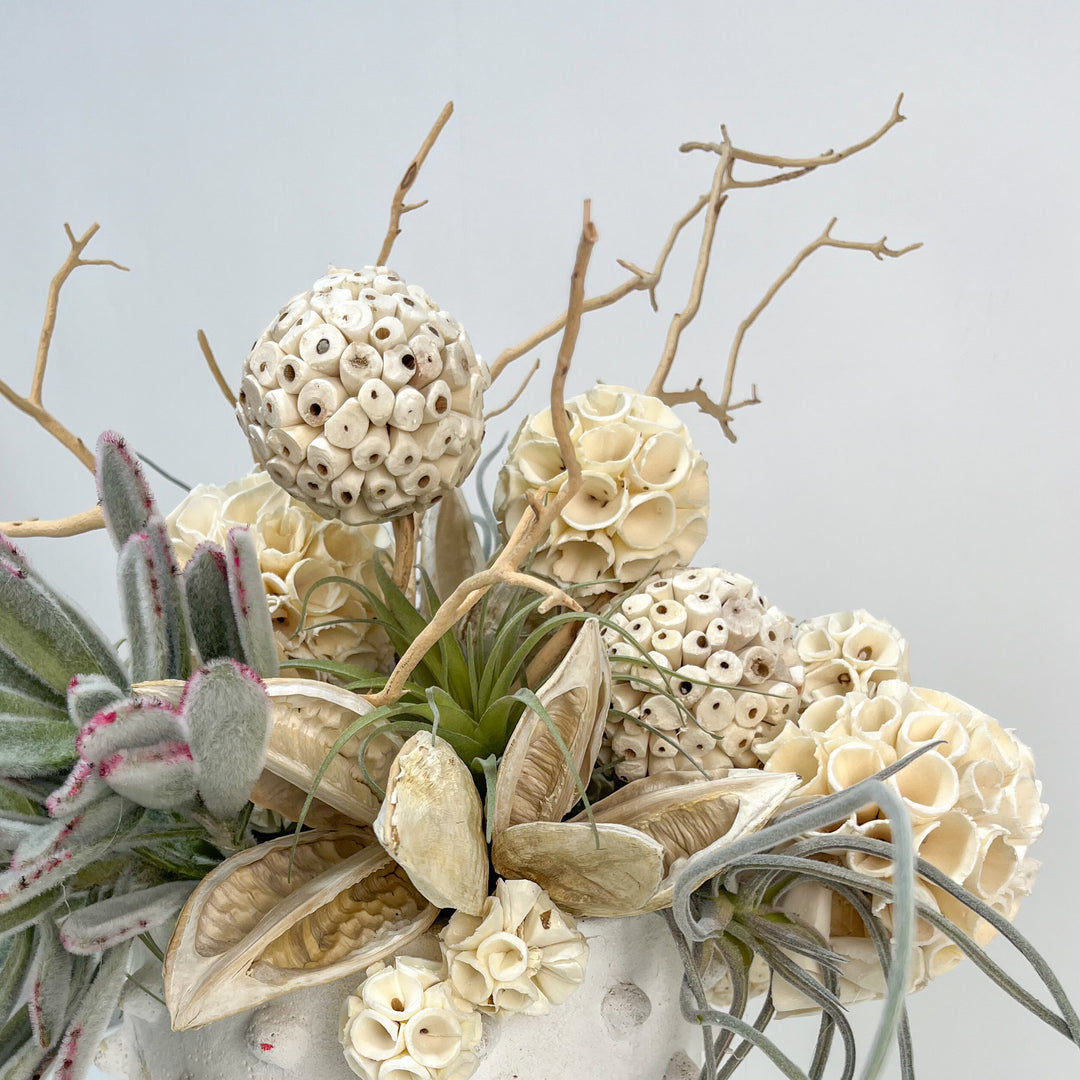 Succulents with Manzanita Branches and Sola Balls in Ceramic