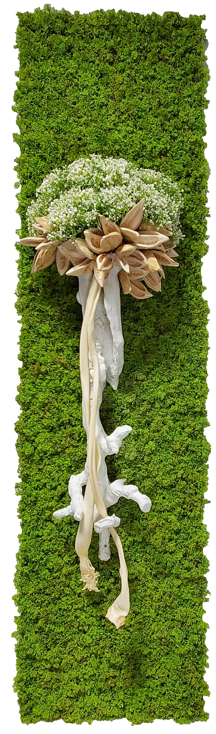 Organic Wall Art with Grapewood, Dried Kelp, Star Pods, Baby's Breath and Moss 78"H