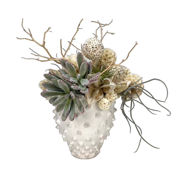 Succulents with Manzanita Branches and Sola Balls in Ceramic