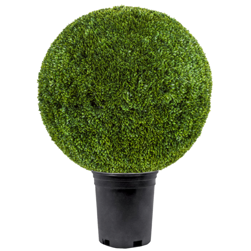 UV Protected Outdoor Japanese Boxwood Ball   - Various Sizes Available