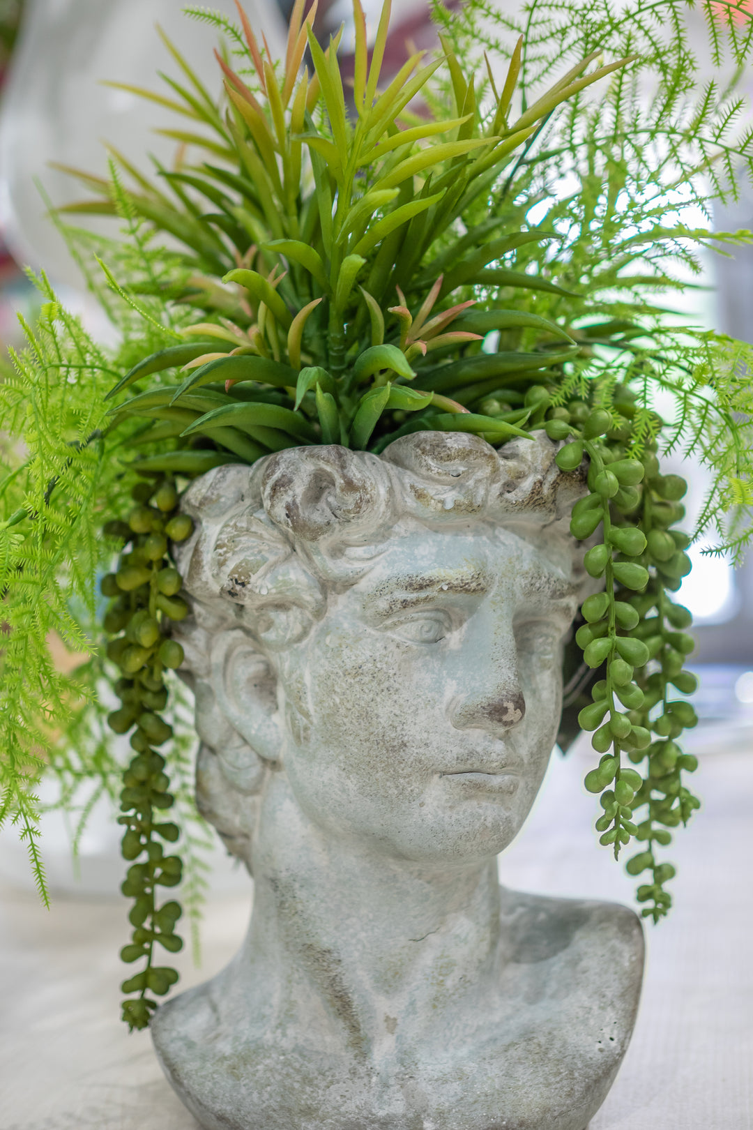 Mixed Ferns & Succulents in Concrete Head 17"H