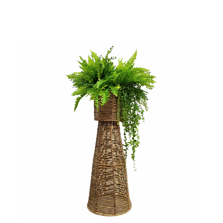 Mixed Ferns with Trailing Eucalyptus in Medium Floor Planter