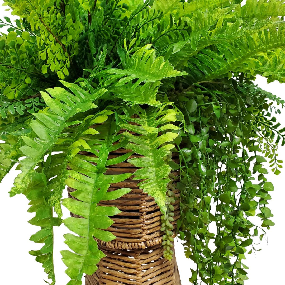 Mixed Ferns with Trailing Eucalyptus in Medium Floor Planter