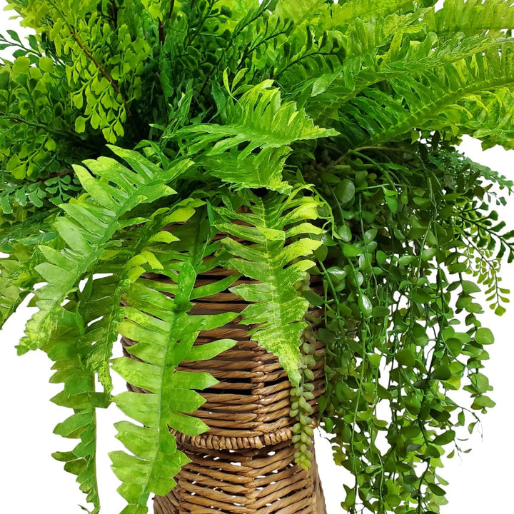 Mixed Ferns with Trailing Eucalyptus in Medium Floor Planter