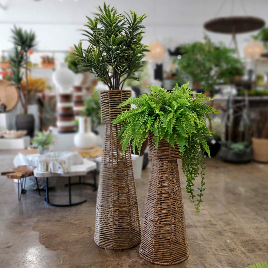 Mixed Ferns with Trailing Eucalyptus in Medium Floor Planter